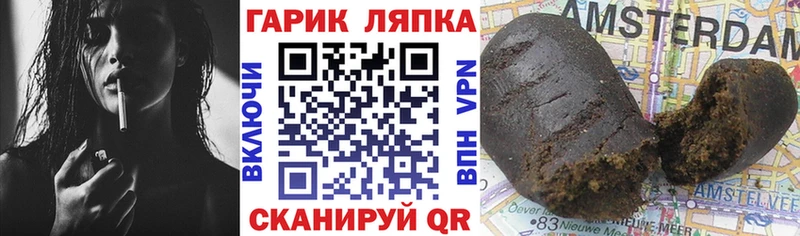Гашиш Premium  Купить где  Зуевка 