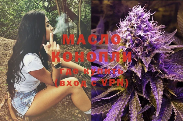 прущие крисы Каменка