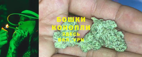 прущие крисы Каменка