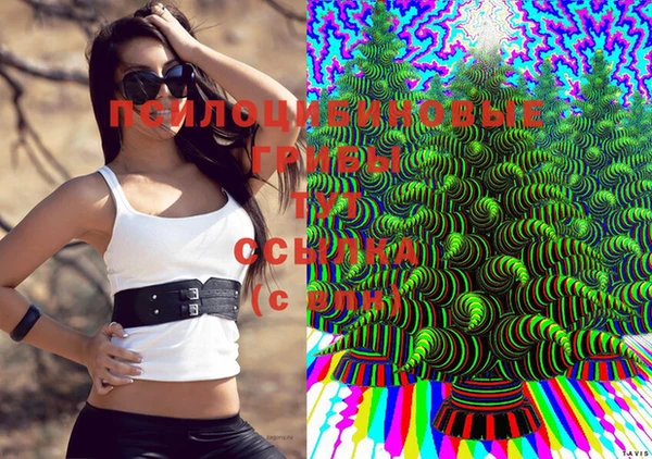 прущая мука Каменногорск