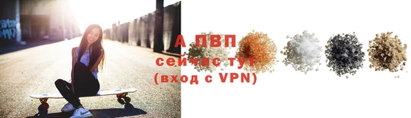 стаф Касимов