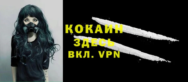 прущие крисы Каменка