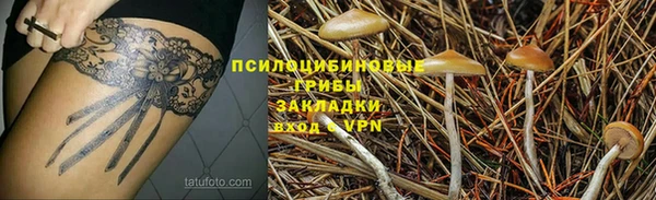 прущая мука Каменногорск